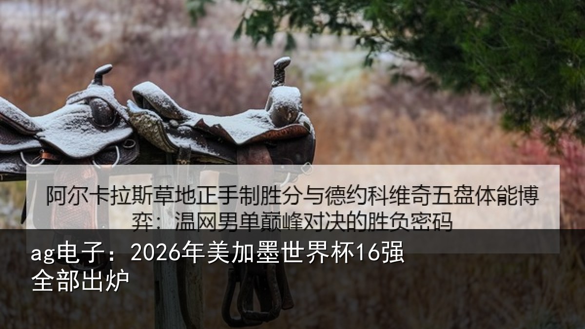 ag电子：2026年美相关情况出炉