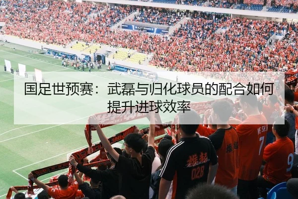 国足世预赛：武磊与归化球员的配合如何提升进球效率