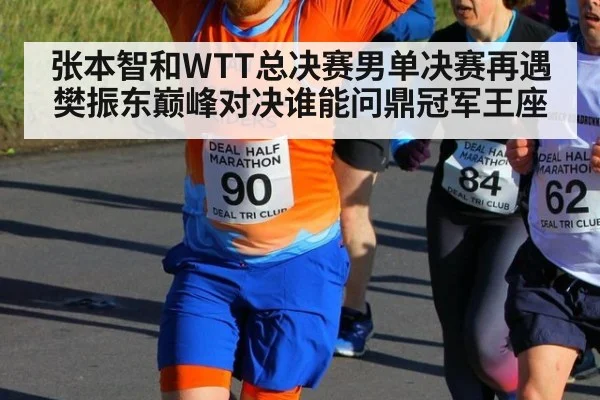 张本智和WTT总决赛男单决赛再遇樊振东巅峰对决谁能问鼎冠军王座