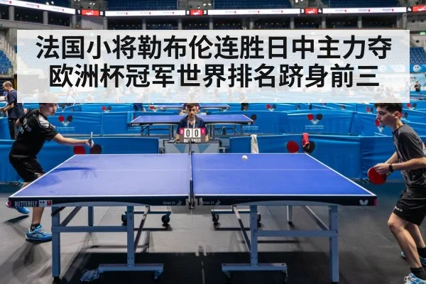 法国小将勒布伦连胜日中主力夺欧洲杯冠军世界排名跻身前三